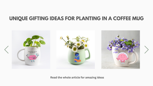 gifting ideas for planting in a coffee mug